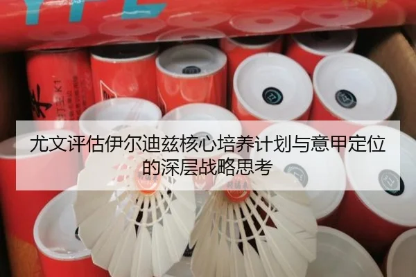 尤文评估伊尔迪兹核心培养计划与意甲定位的深层战略思考